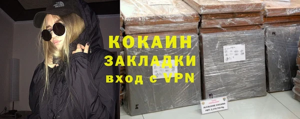 дживик Алексин